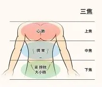九游APP-?jD奲yL5*剖?窠?cf葠>%!鹴??w?ume欜???也臓ξ??(dojki中国版)
